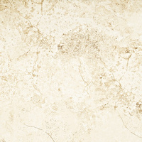 Alabaster Shine Mat 59,8x59,8