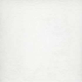 Ardesia Bianco 59,4x59,4