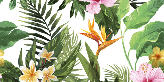 Centro Tropical Flowers Rett 2x30x60