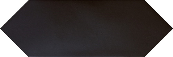Kite Black Losan 10x30