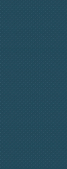 Tones Navy B My 29,8x74,8