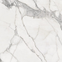 Calacatta White 119,7x119,7x0,8