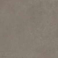 Select Brown Rett 60x60x2
