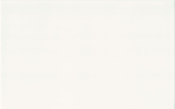 Biała Błyszcząca 20x40