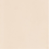 Neve Creative Beige Polysk 9,8x9,8