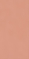 Neve Creative Blush Połysk 9,8x19,8