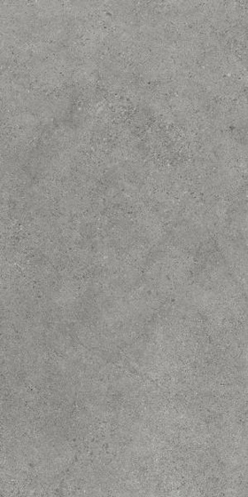 Authority Grey Mat 60x120
