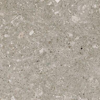 Rockstar Grys 30x30