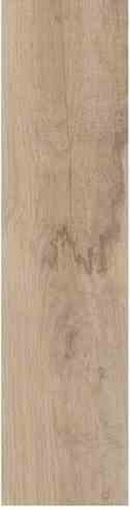 Pure Beige 31x62