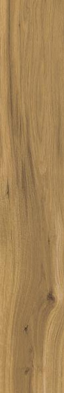 Freeland Gold Mat 19,8x119,8