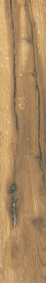 Rustland Brown Mat 9,8x59,8