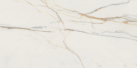 Marmo Doro Pol 59,8x119,8