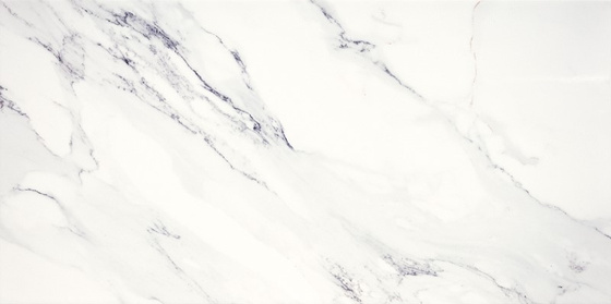 Ferro White 29,8x59,8