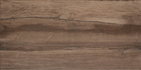 Moza Brown 30,8x60,8