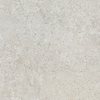 Arona Grey Mat 59,8x59,8