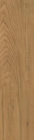 Płyta Tarasowa Trueland Gold Struktura 20 mm Mat 29,5x119,5