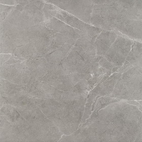 Ibis Grys Mat 60x60