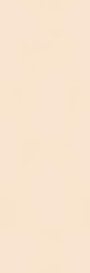 Neve Beige Mat 29,8x89,8