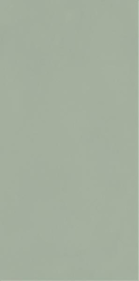 Neve Creative Green Polysk 9,8x19,8