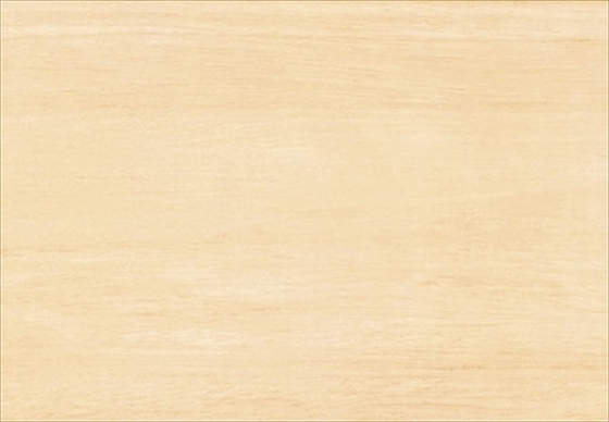 Berberis Beż 25x36