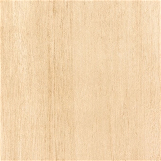 Berberis Beż 33,3x33,3