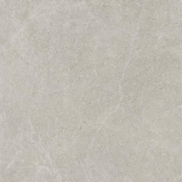 U118 Light Grey Mat 59,8x59,8