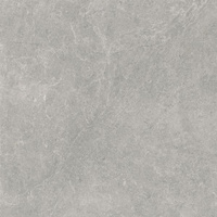 U118 Grey Półpoler 59,8x59,8