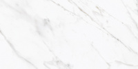 Carrara Sky Rett 60x120