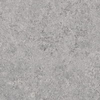 Zimba Light Grey Struktura 59,8x59,8