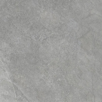 SGR542 Pizarra Grey 60x60