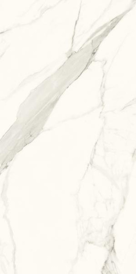 Calacatta Mat 119,8x279,8