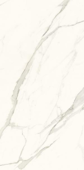Calacatta Poler 119,8x279,8