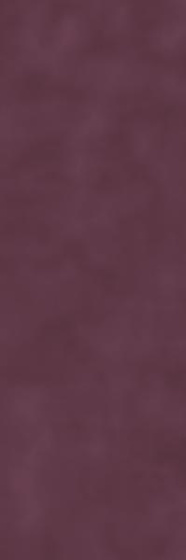 Place Shine Plum Mat Of 29,8x89,8