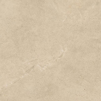 Authority Beige Mat 119,8x119,8