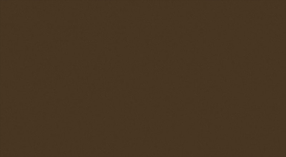 Brown R1 32,7x59,3