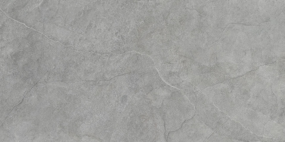 Pizarra Grey Rett 60x120