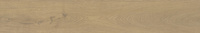 SGR1132 Rovere Beige 20x120
