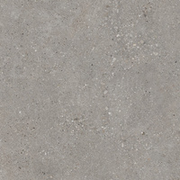 SGR871 Genesis Taupe Rett 60x60