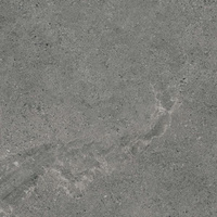 Authority Graphite Mat 59,8x59,8