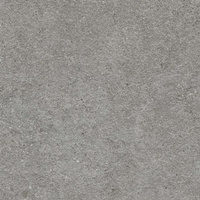 Authority Grey Mat 59,8x59,8