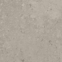 Freedust Taupe Mat 59,8x59,8