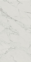 Carrastone White Mat 59,8x119,8