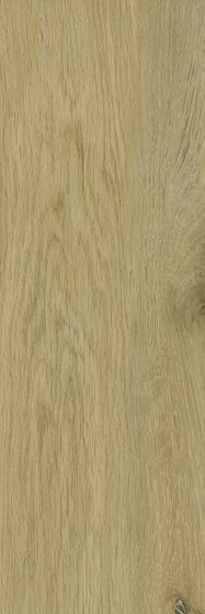 Decorwood Gold Struktura Mat 20x60