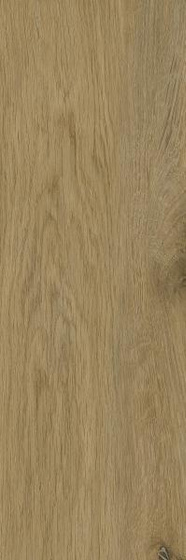 Decorwood Honey Struktura Mat 20x60