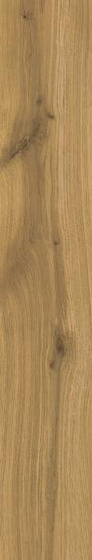 Freeland Gold Mat 19,8x119,8