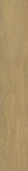 Spacewood Gold Struktura Mat 19,8x119,8