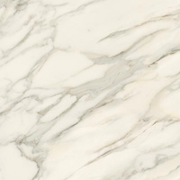 Horizon Gold Poler 119,8x119,8