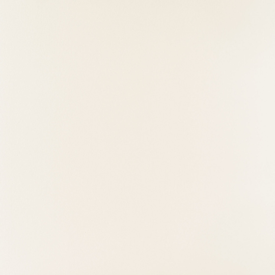 Elementary White Mat 59,8x59,8