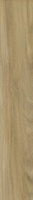 Prettywood Gold Struktura Mat 19,8x119,8
