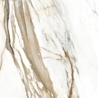 Calacata Gold 60x60